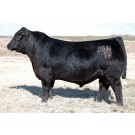 Duff Stimulus 856 - Semen