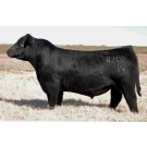 Duff Hobart 8302 - Semen