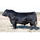 Duff New Generation 6107 - Semen