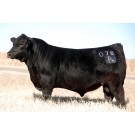 Duff Wrangler 078 - Semen
